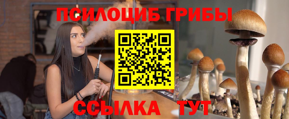 Галлюциногенные грибы MAGIC MUSHROOMS  Вход с VPN  Сердобск 