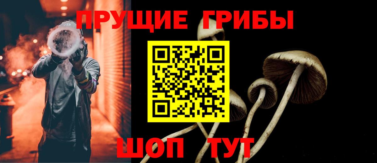 Псилоцибиновые грибы Psilocybe Сердобск